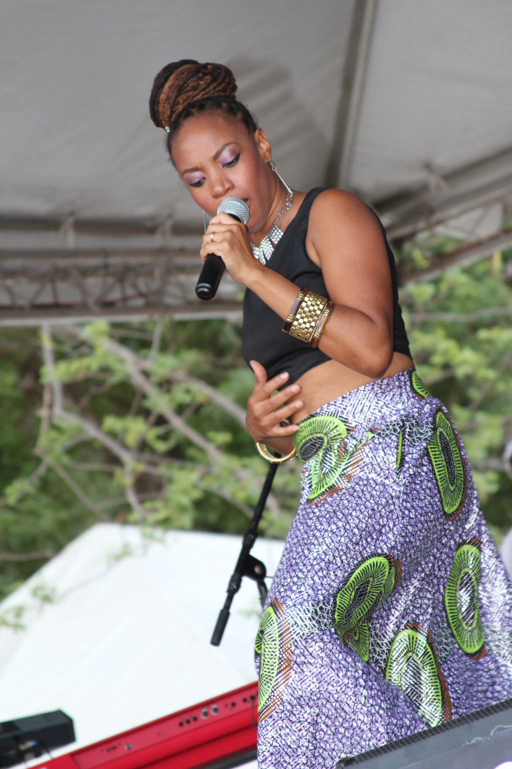 Commonwealth of Dominica: Dominica's Jazz 'n Creole Festival