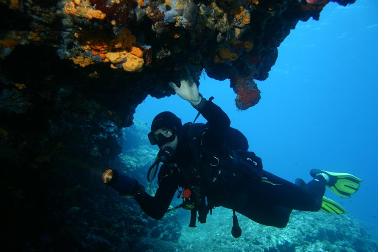 Commonwealth of Dominica : Scuba Diving