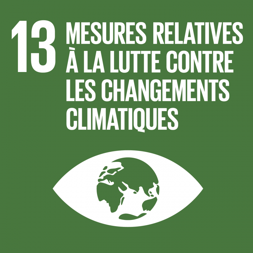 SDG13 - Cliamte Action