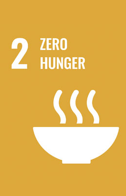 SDG2 - Zero Hunger 