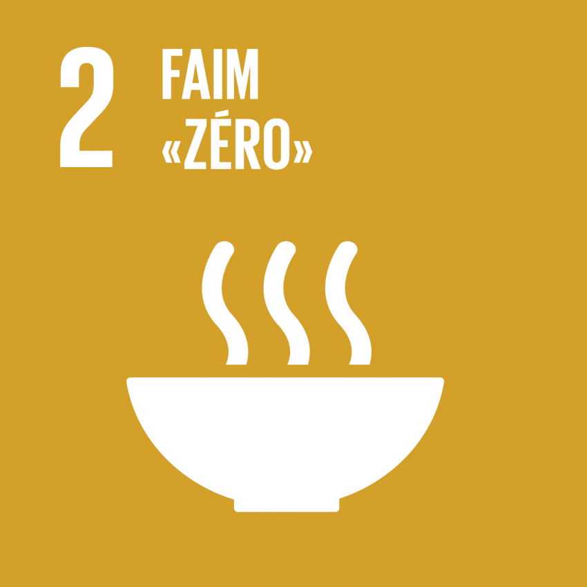 SDG2 - Zero Hunger 
