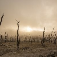 Climate and Disaster Resilience