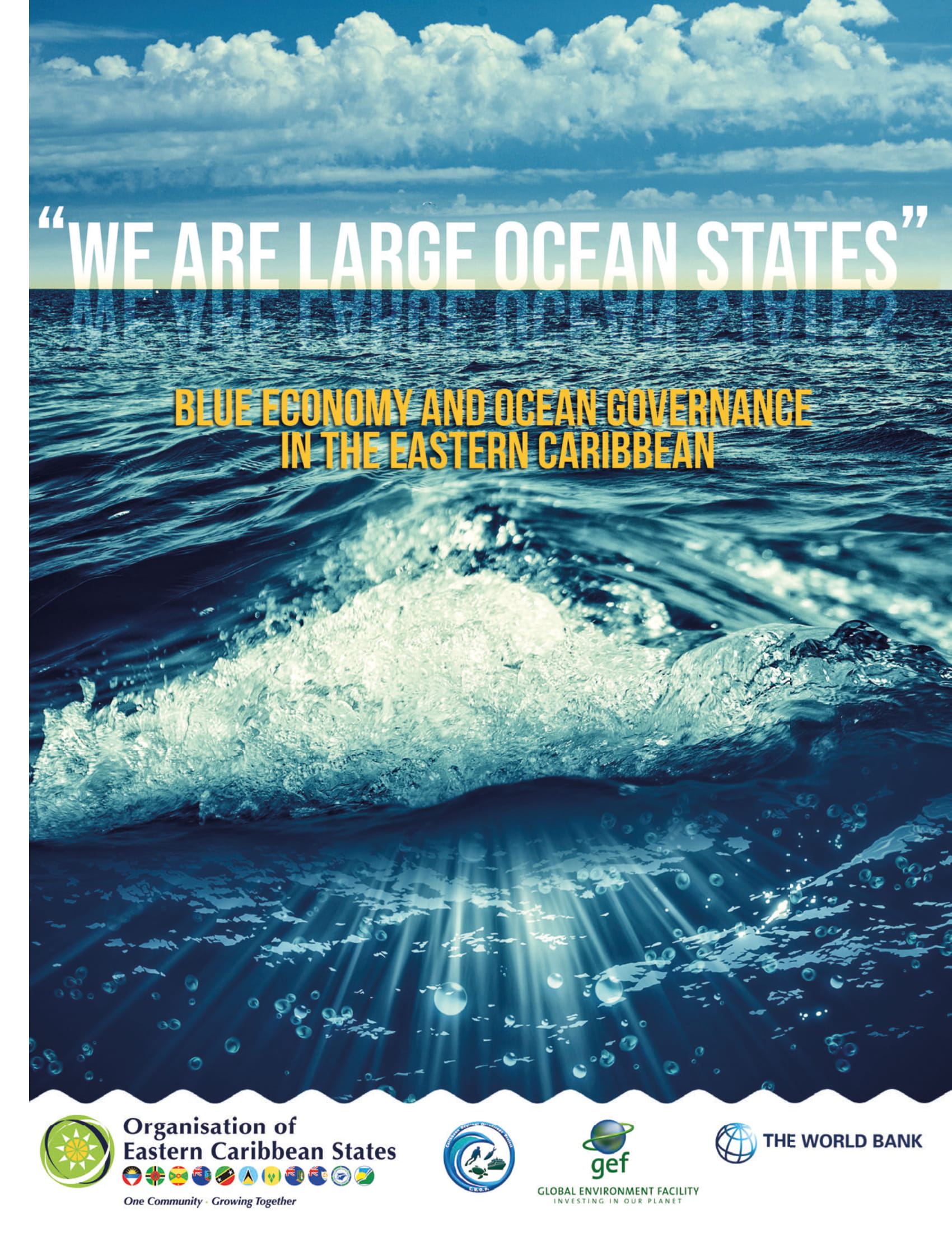 “We Are Large Ocean States”: Blue economy and ocean governance in the ...