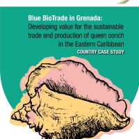 Blue BioTrade in Grenada Developing value for the sustainable trade and production of queen conch in the Eastern Caribbean country case study
