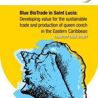Blue BioTrade in Saint Lucia - Developing Value for the Sustainable trade and production of queen conch in the Eastern Caribbean Country Case Study