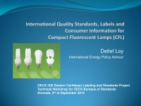 CFLs international DL 2012