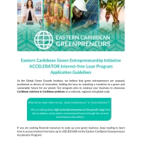 Greenpreneur Accelerator Application Guidelines