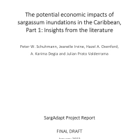 IWEco Project - The potential economic impacts of Sargassum inundations in the Caribbean, Part 1 - Insights from the literature