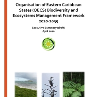 Biodiversity Framework Executive Summary