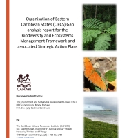 Organisation of Eastern  Caribbean States (OECS) Gap  analysis report for the  Biodiversity and Ecosystems  Management Framework and  associated Strategic Action Plans