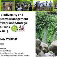 OECS Biodiversity and  Ecosystems Management  Framework and Strategic  Action Plans  (OECS-BEF)