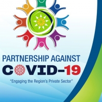 COVID-19 Private Partnership Deck