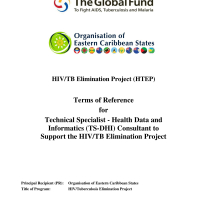 Organisation of Eastern Caribbean States (OECS) - Technical Specialist - Health Data and Informatics (TS-DHI) Consultant to Support the HIV/TB Elimination Project