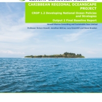 CROP 1.2 Developing National Ocean Policies and Strategies - Output 2 Final Baseline Report
