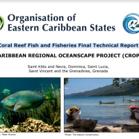 Coral Reef Fish and Fisheries Final Technical Report
